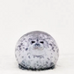 Blob Angry Seal Pillow 3D Plush Toy for Kids, 20CM Cute Sea Lion Gift