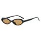 Cat Eye Sunglasses Compact Frame Fashion Eyewear With UV400 Protection Summer 2026 Trend
