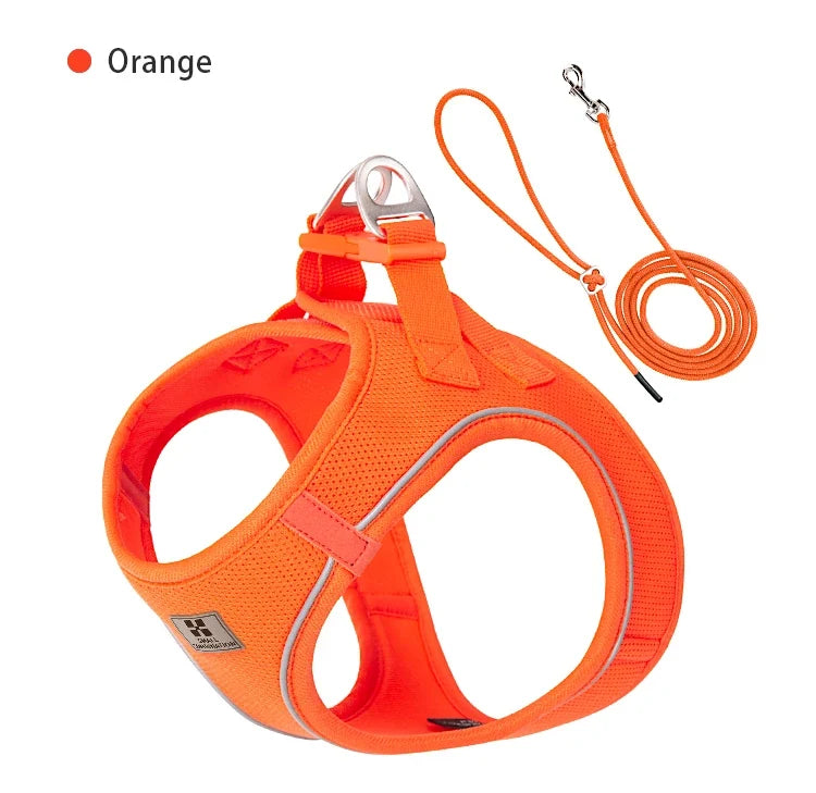 Dog Harness Leash Kit Reflective Padded Vest All Seasons Outdoor Walking Gift Idea