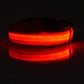 LED Dog Collar Glow In The Dark Night Safety Luminous Fall 2026 Trend Great Gift Idea