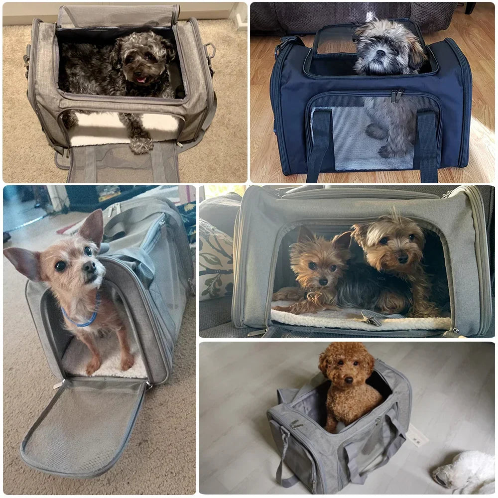 Dog Carrier Plush Side Backpack Pet Carrier Airline Approved Travel 2025 Breathable Hands Free Comfort