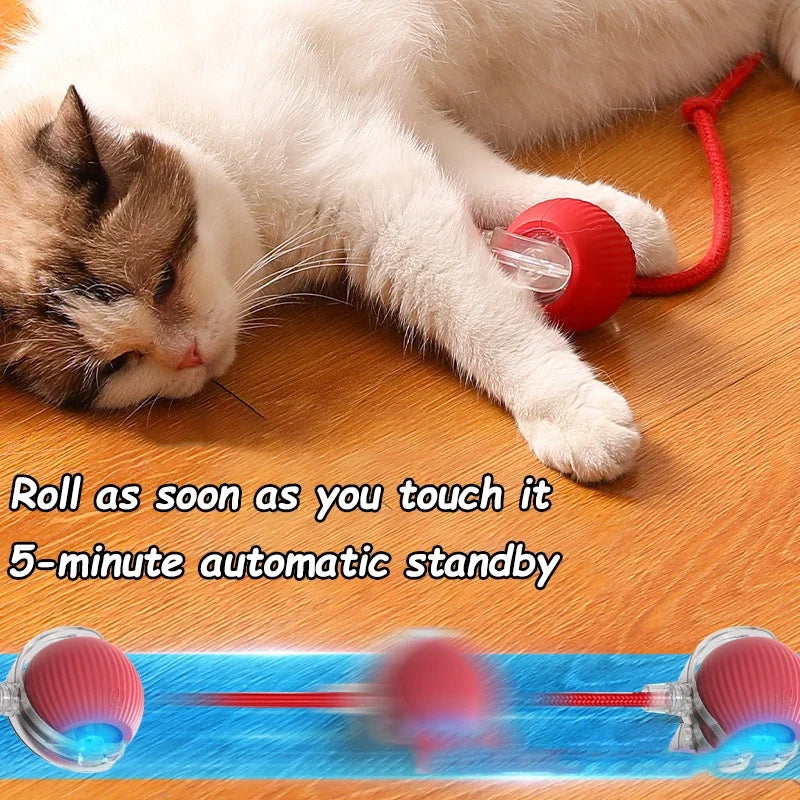 Fruit Interactive Cat Ball Toy - Automatic Rolling Battery-Powered Smart Dog & Cat Motor-Driven Toy