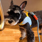 Dog Harness Y Shaped Flexible Chest Straps Polyester Blends Summer 2026 Outdoor Use Simple Fit