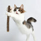 Organic Matatabi Cat Chew Sticks 15-Pack - Silvervine Catnip Dental Toy for Teeth Cleaning