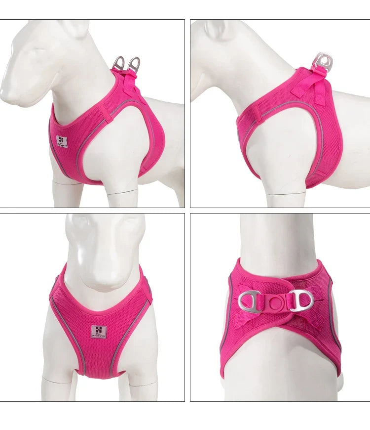 Dog Harness Leash Kit Reflective Padded Vest All Seasons Outdoor Walking Gift Idea