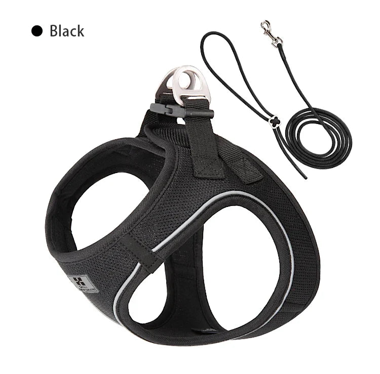 Dog Harness Leash Kit Reflective Padded Vest All Seasons Outdoor Walking Gift Idea