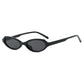Cat Eye Sunglasses Compact Frame Fashion Eyewear With UV400 Protection Summer 2026 Trend