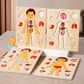 Montessori Human Anatomy Jigsaw Puzzle for Kids, 10 Pieces Educational Toy, Interactive Learning Device, Non-Toxic Wood, 12 x 9 Inches