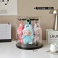 Case Display Transparent Rotating Plush Figure Stand Collector Display, Fall 2025 Dustproof Gift Idea