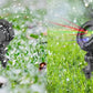 Christmas Laser Light Projector Water-Resistant Outdoor Garden