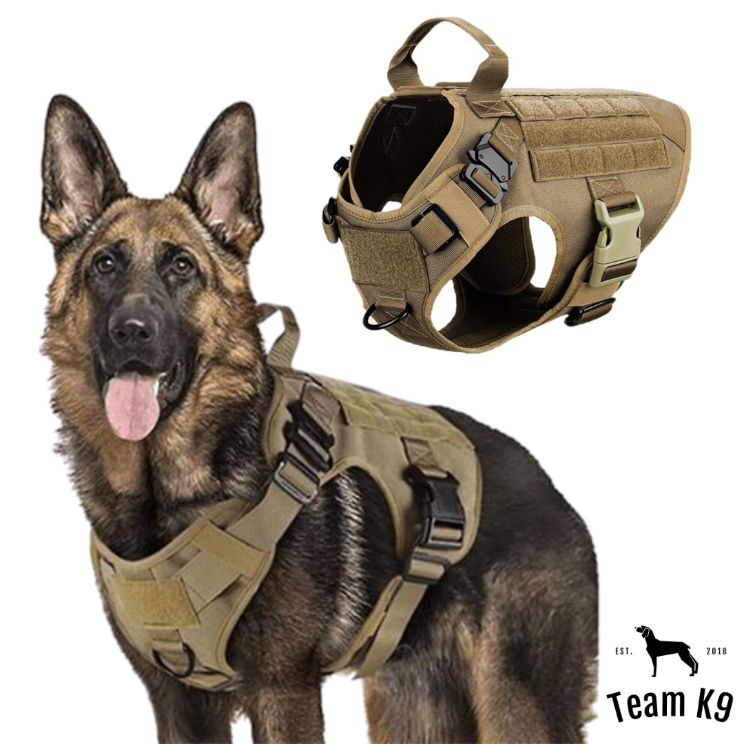 Tactical2025 Edition Dog Harness System All-In-One Training Bundle No-Pull Harness MOLLE Pouches Travel Water Bowl Holiday