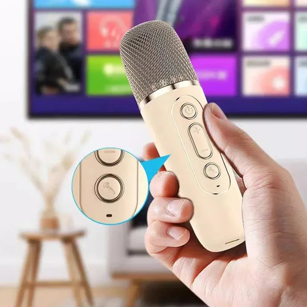 Travel-Friendly Bluetooth Karaoke Machine with Cordless Microphones - Fun Family Singing Gift