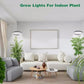 Light Grow For Indoor Plants Full Spectrum LED Plant Light, Year-Round Growth, Energy Efficient