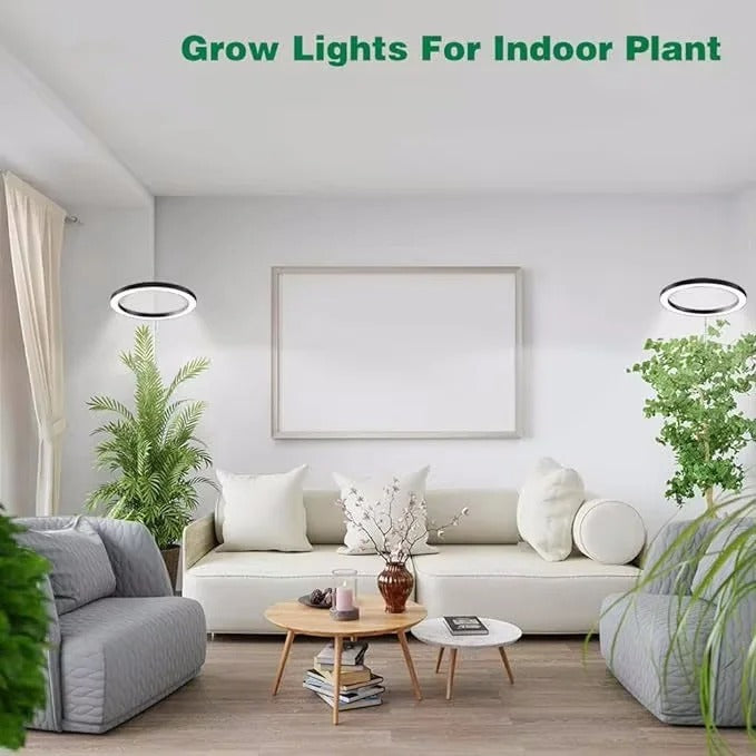 Light Grow For Indoor Plants Full Spectrum LED Plant Light, Year-Round Growth, Energy Efficient