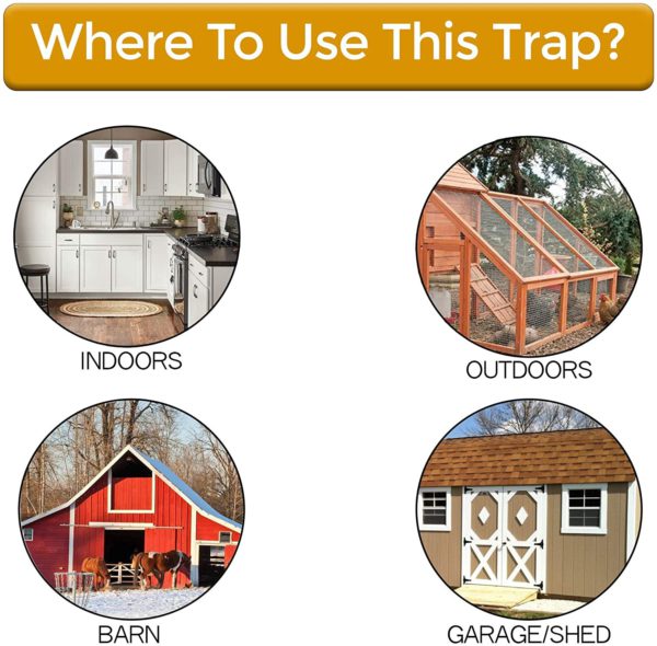 Trap Mouse Bucket Lid Non Toxic Sanitary Fall 2025 Safe