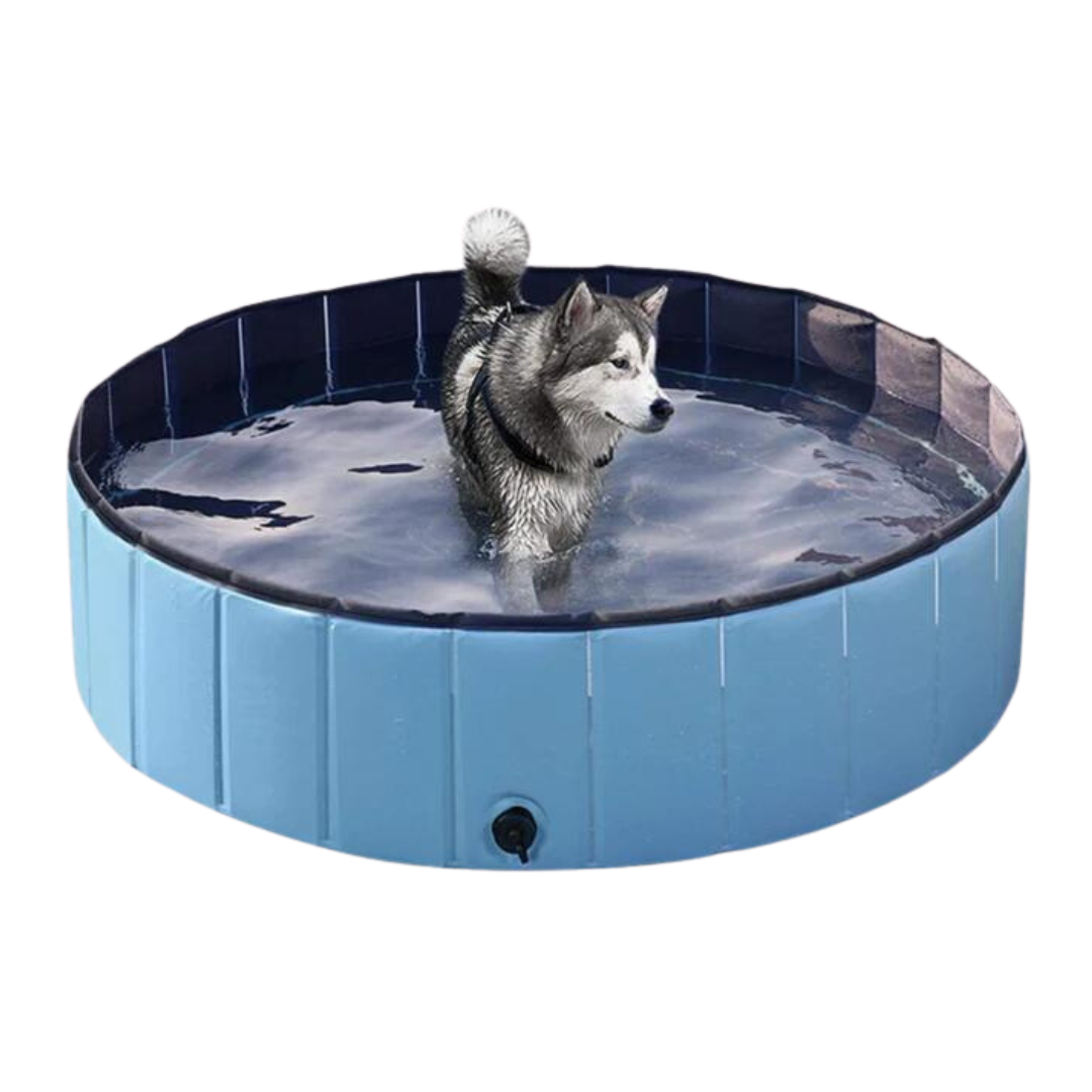 Pop-Up Dog Pool Foldable - Outdoor Bath And Pool For Pets, Summer 2025 Simple Setup, Side Drain, Sturdy Lining