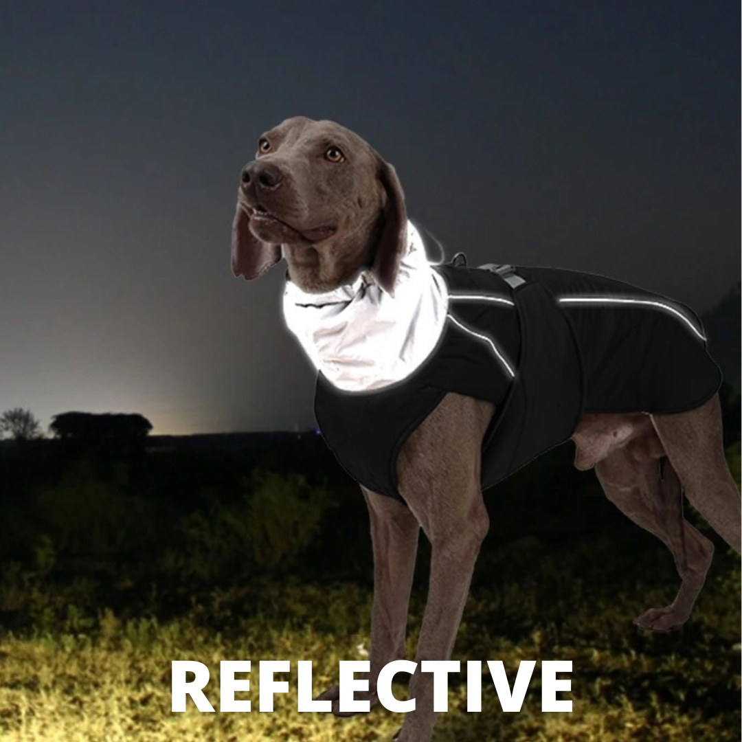 Water-Resistant2025 Edition Dog Coat With Reflective Strips And Flexible Straps For Safe Winter Walks
