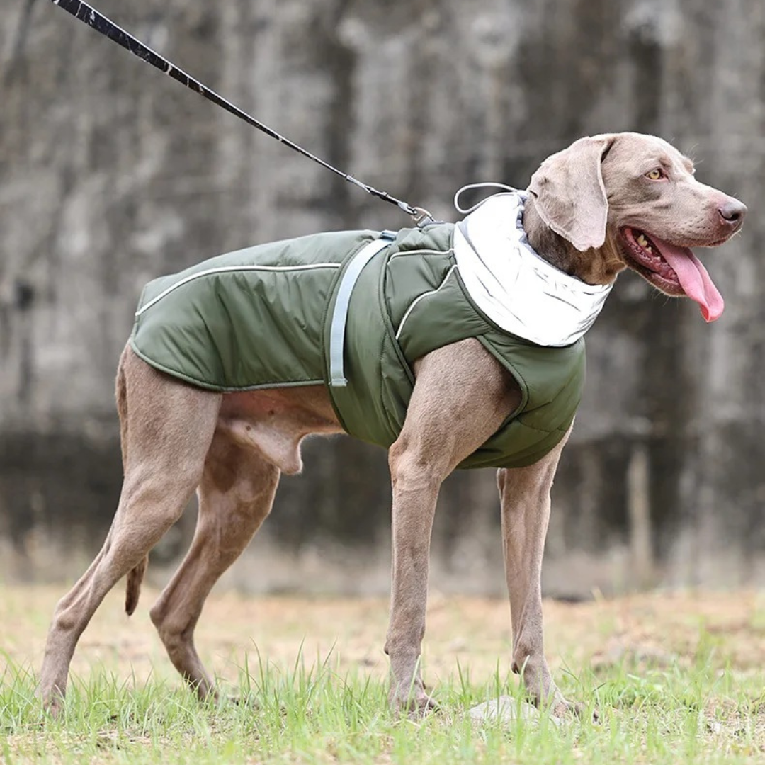 Water-Resistant2025 Edition Dog Coat With Reflective Strips And Flexible Straps For Safe Winter Walks