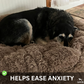 Dog Calming Bed Ultra Plush Cozy Nest With Raised Rim For Relaxing Sleep Fall 2025 Gift Idea