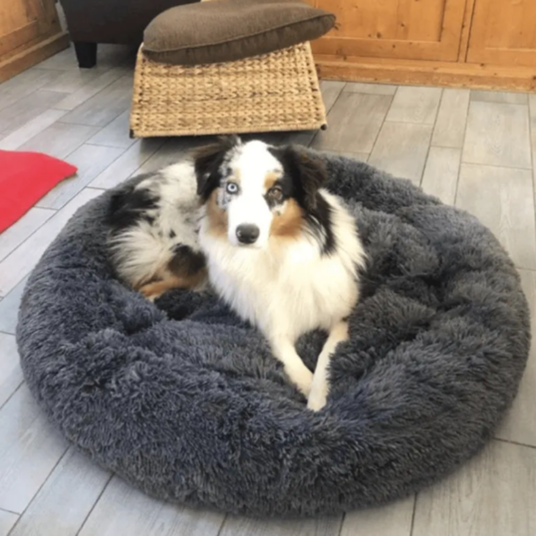 Dog Calming Bed Ultra Plush Cozy Nest With Raised Rim For Relaxing Sleep Fall 2025 Gift Idea