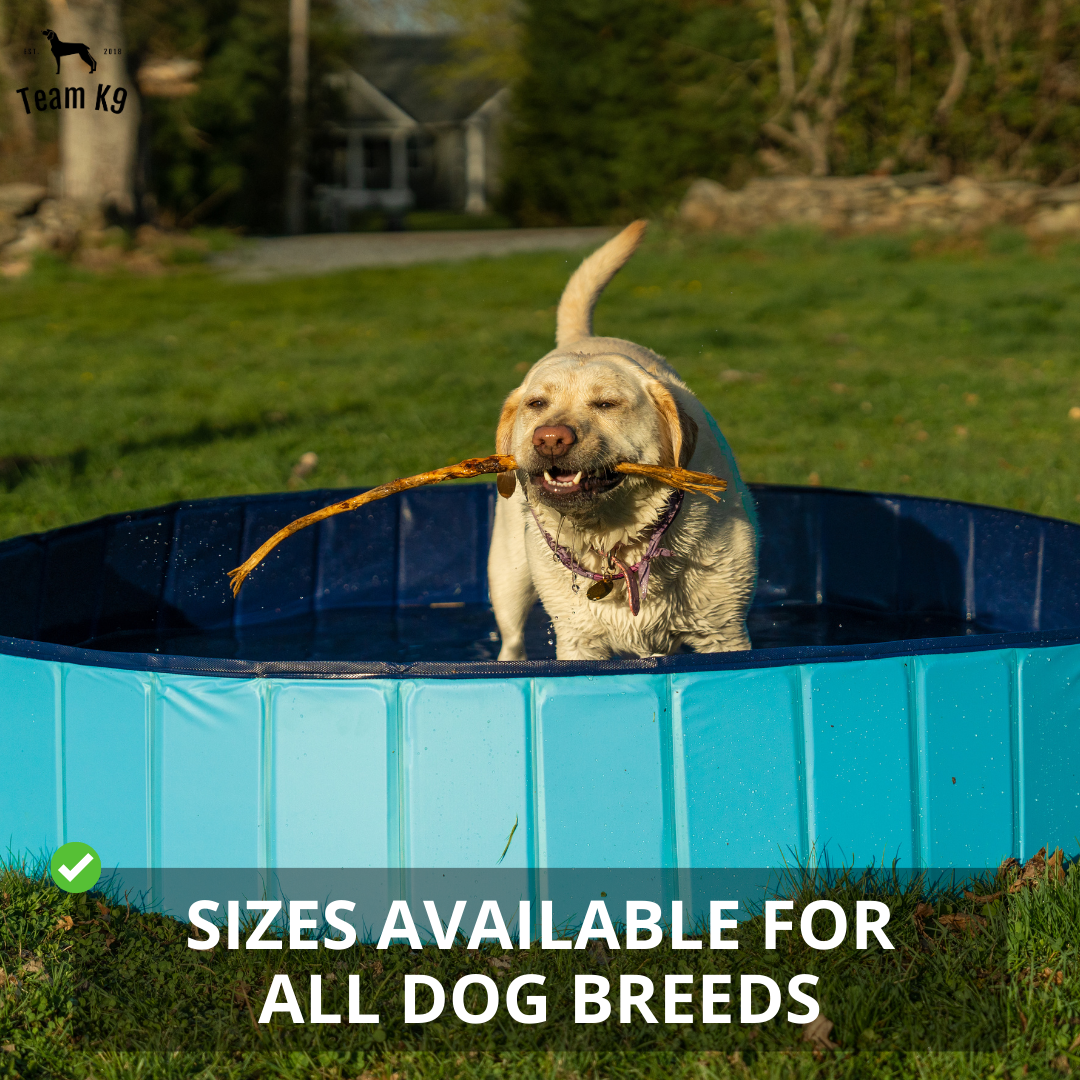 Pop-Up Dog Pool Foldable - Outdoor Bath And Pool For Pets, Summer 2025 Simple Setup, Side Drain, Sturdy Lining