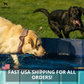 Pop-Up Dog Pool Foldable - Outdoor Bath And Pool For Pets, Summer 2025 Simple Setup, Side Drain, Sturdy Lining