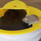 Trap Mouse Bucket Lid Non Toxic Sanitary Fall 2025 Safe