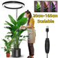 Light Grow For Indoor Plants Full Spectrum LED Plant Light, Year-Round Growth, Energy Efficient