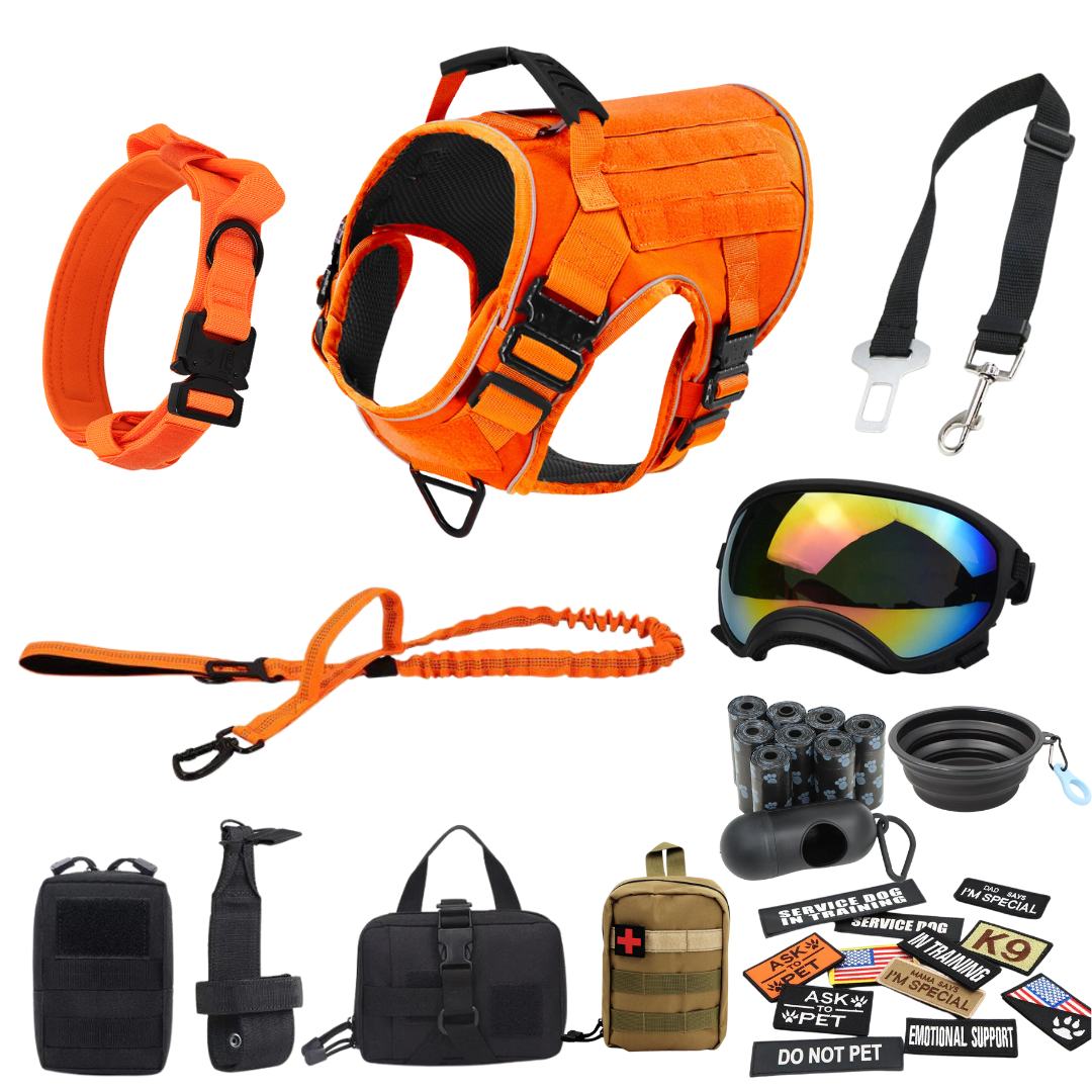Tactical2025 Edition Dog Harness System All-In-One Training Bundle No-Pull Harness MOLLE Pouches Travel Water Bowl Holiday