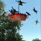 Hummingbird Feeder Ant Proof Outdoor Hanging Simple Perch