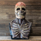 Full Head Halloween Cosplay Accessory for Parties and Events – Realistic Movable Jaw Skeleton Mask with Hat