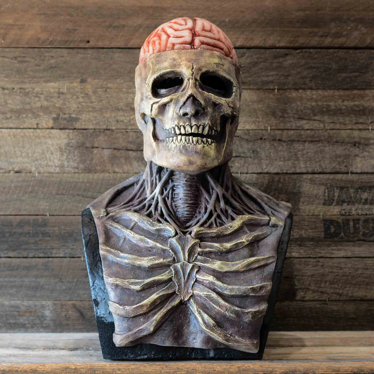 Full Head Halloween Cosplay Accessory for Parties and Events – Realistic Movable Jaw Skeleton Mask with Hat
