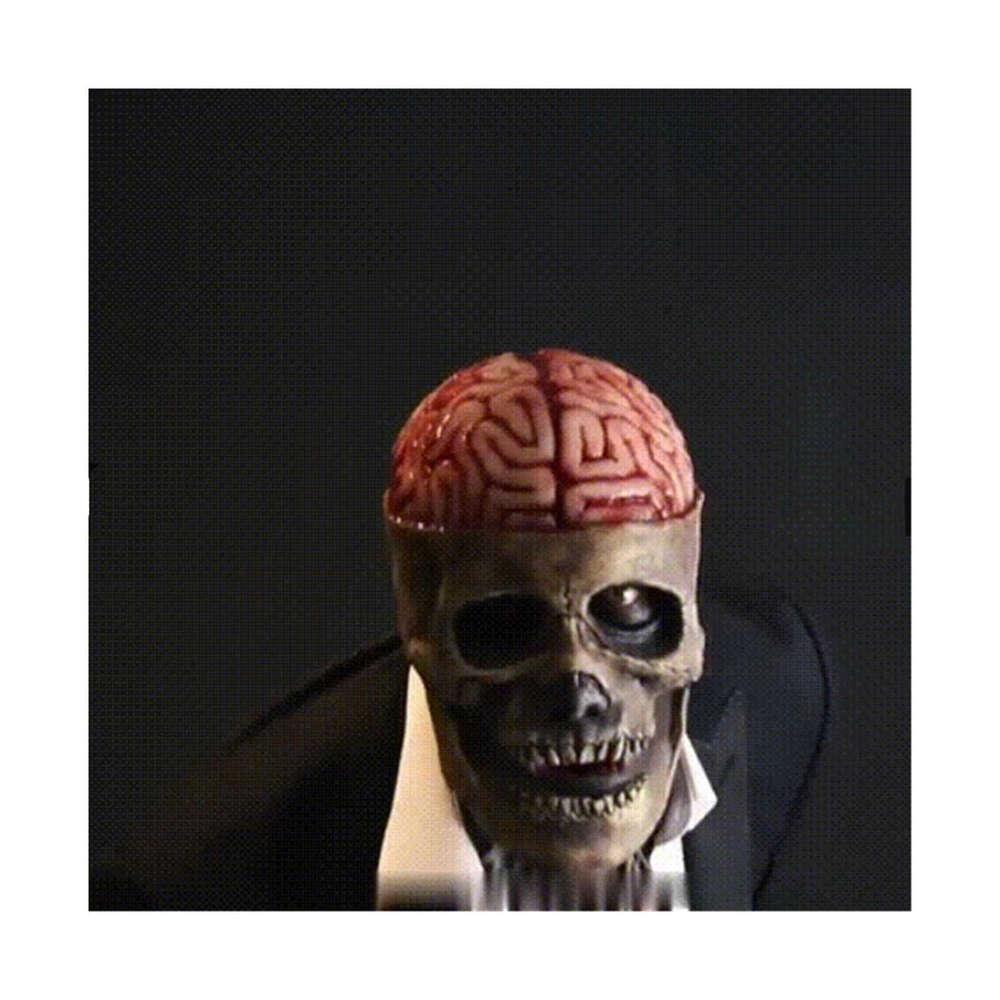 Full Head Halloween Cosplay Accessory for Parties and Events – Realistic Movable Jaw Skeleton Mask with Hat